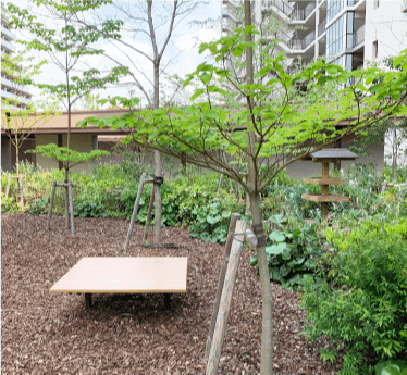 「どんぐりの森」にはウッドチップを撒き、雨水の有効利用による水の循環にも配慮