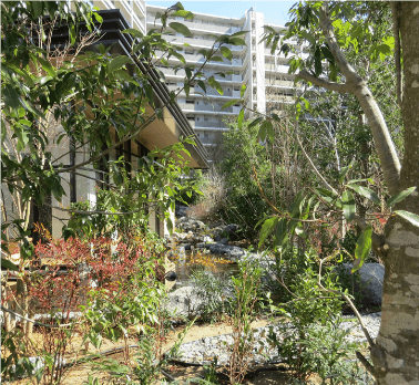 生態系を考慮し地域の植生を反映した緑地を整備