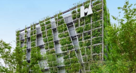 多目的実験棟の壁面と屋上の緑化