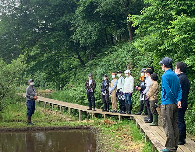 自然観察の様子