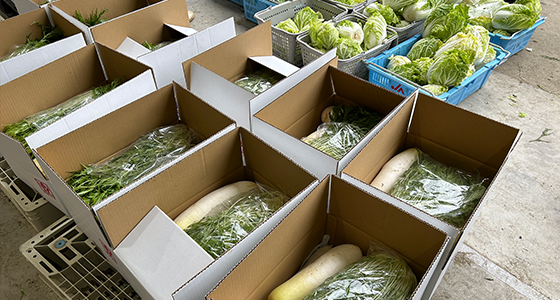 梱包・発送した野菜