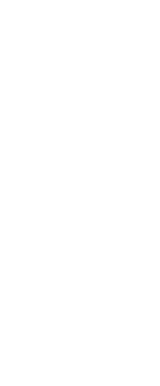 　マンションから続く並木道で何人もの人を追い越しながら、この街の人は何故こんなにゆっくり歩くのだろう、とぼんやり考えていた。ふいに別の想いがよぎった。いや、この人たちが遅いのではなく、僕が速すぎるのか。　そう言えばここ数年、僕はずいぶんせっかちになった気がする。会社が謳う「効率」という言葉を頭に入れるかわりに、「ゆとり」という言葉を追い出していたのかもしれない。足を止めて周りを見た。道の両側には可憐な花が咲いていた。並木の枝々にはピンクの蕾が膨らみ始め、その先には冬晴れの青空の下で、峰々がくっきりと浮かんでいた。美しいと思った。ここに来て初めての経験だった。僕はこれから先、この道で、「ゆっくり歩く歓び」を教えてもらおうと思った。