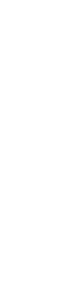 林さんちの助丸君が亡くなりました。帰りの電車を降りた最寄りの駅で小野さんに声をかけられ、私は思わず、えっと声を挙げた。助丸君は15歳の柴犬だ。そして小野さんと私も、3歳と6歳の柴の飼い主である。川べりを散歩する70歳の林さんと助丸君の姿が目に浮かぶ。林さんが助丸君に合わせているのか、その逆なのか、あまりにもゆっくりした「ふたり」の歩の運びに「思索しながら歩くソクラテスとプラトン」と言う人がいた。つらいですね、と私がポツリと言う。この星は残酷な事も多いけれど、多様な愛にも満ちている。そして愛が満ちているから、涙だってこんなに溢れるのだと私はいつも思う。林さんの家の前を通ると、玄関脇の犬舎の前の花瓶で、一輪の花が風に揺れていた