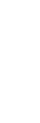 また雨だね、とため息まじりに窓の外を眺めていると、あら、私は嫌いじゃないわ、と台所で夕食の仕度をする妻が言う。「花を育てるようになってからはね」　そうか、と僕は僕たちの何よりの自慢である広いテラスに目をやる。そこではこのマンションに来て２年、妻が丹精を尽くす色とりどりの花が、夏の薄暮の中で風に揺れている。　思えば、天気がいい悪いと言い立てるのは人間の都合である。花にとって雨は生気の源であり、暑い日盛りに子どもたちが歓声を挙げて水浴びをするように、花もまた、天空からの恵みに狂喜しているに違いない。　この星は、子育てが終った人間にもいのちを育てる歓びを用意している。そんなことを考えながら、僕は花たちに見とれていた。