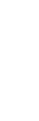 開け放った私たちの部屋の窓から、赤ん坊の泣き声が聞こえてくる。「何だか懐かしい声だね」と夫は言い、まるで音楽を楽しむかのようにその声に耳を傾けている。私たちの住む団地が建て替えになり、昨年すべてが完成した。戸数がふえ、たくさんの新しい住人が入って来た。目立つのは若い家族だ。ランドセルを背負う子どもがいる。ベビーカーを押す母親がいて、制服姿の中高生がいる。地域の小学校が活気を取り戻したという報告もある。その何もかもが、むかし私たちがここに入居した頃の、あの輝きに満ちた時代を思い出させてくれるのだ。人間が住んでいるって感じがするね。泣き声に耳を澄ませていた夫が、私を見てニッコリと微笑んだ。