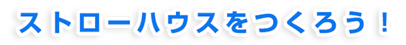 子供向けワークショップ ～ストローハウスをつくろう