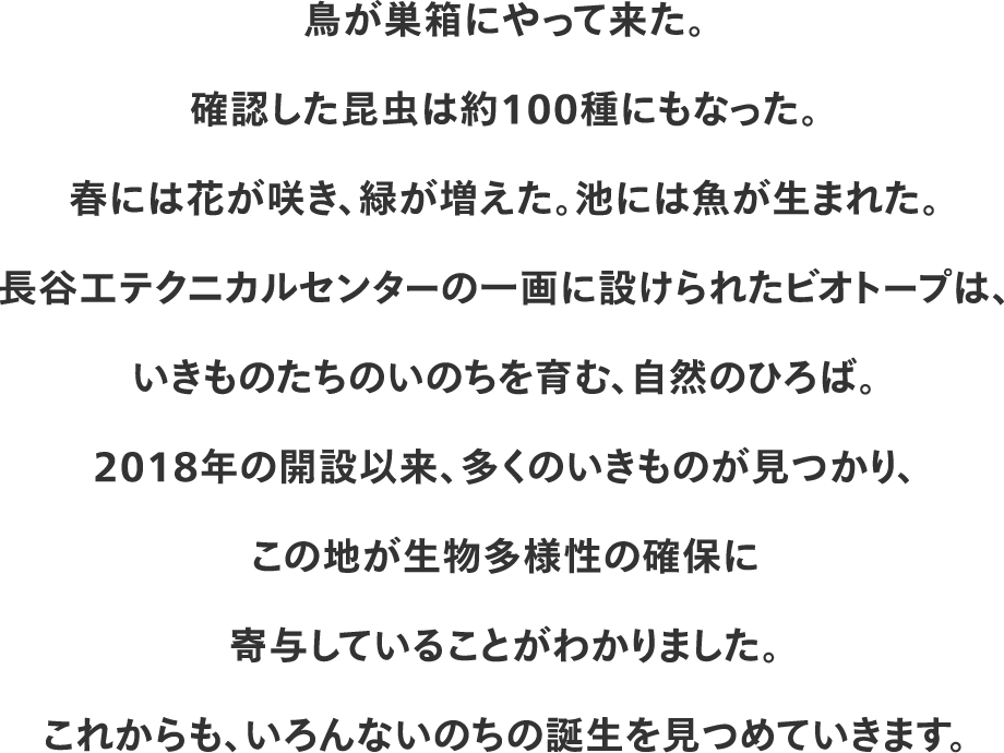 鳥が巣箱にやって来た。確認した昆虫は約100種にもなった。春には花が咲き、緑が増えた。池には魚が生まれた。長谷工テクニカルセンターの一画に設けられたビオトープは、いきものたちのいのちを育む、自然のひろば。2018年の開設以来、多くのいきものが見つかり、この地が生物多様性の確保に寄与していることがわかりました。これからも、いろんないのちの誕生を見つめていきます。