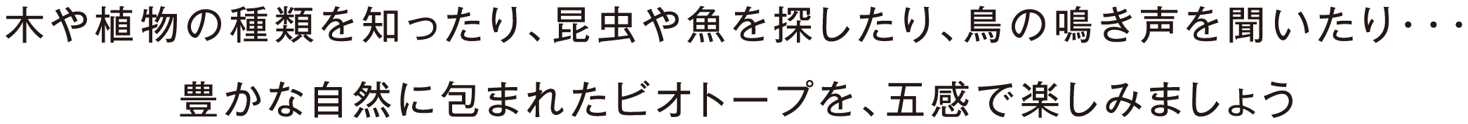 木や植物の種類を知ったり、昆虫や魚を探したり、鳥の鳴き声を聞いたり・・・豊かな自然に包まれたビオトープを、五感で楽しみましょう