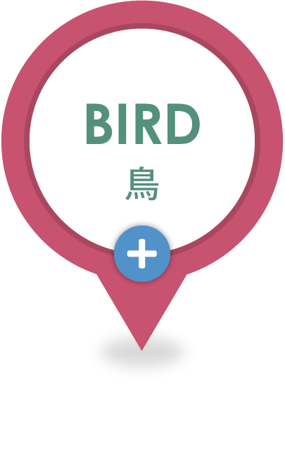 鳥