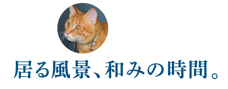 愛猫の居る風景、和みの時間。