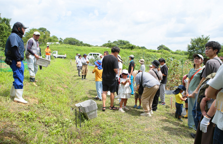 entry_20240704_vol1_2