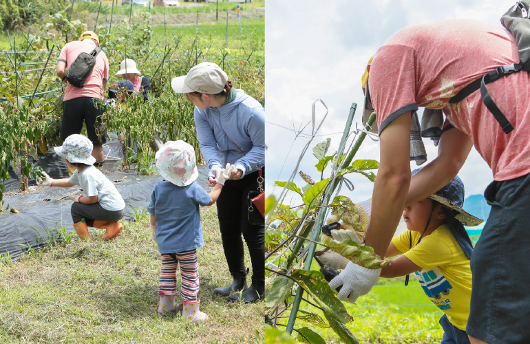 entry_20240704_vol1_3