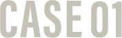 CASE 01