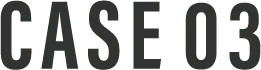 CASE 03
