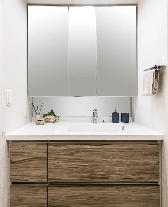 スタイリングドレッサー