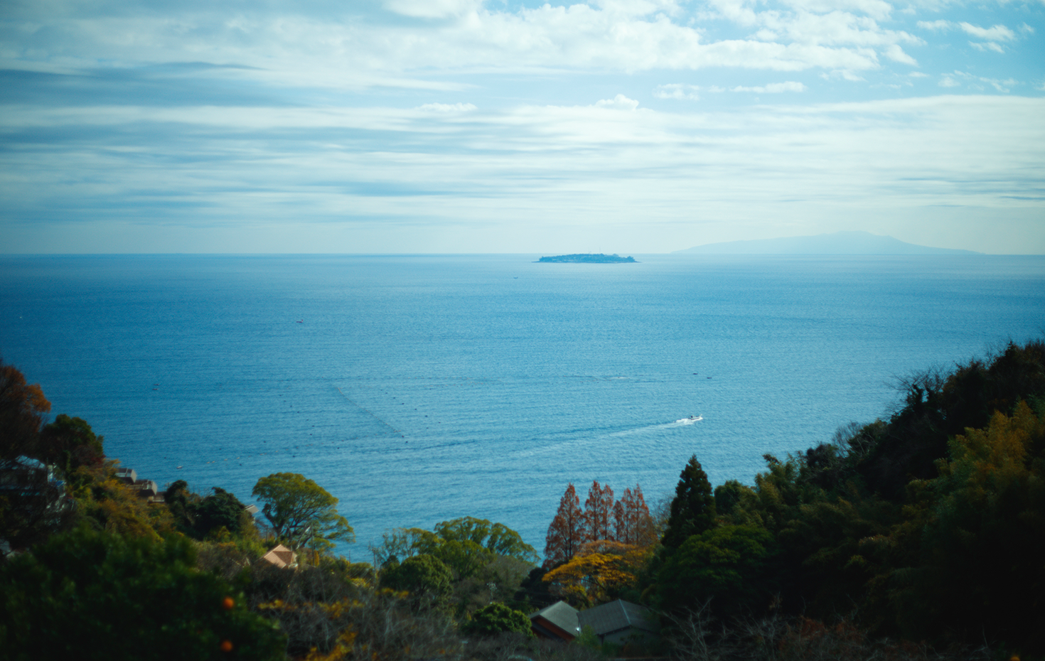マンションの屋上からの眺め