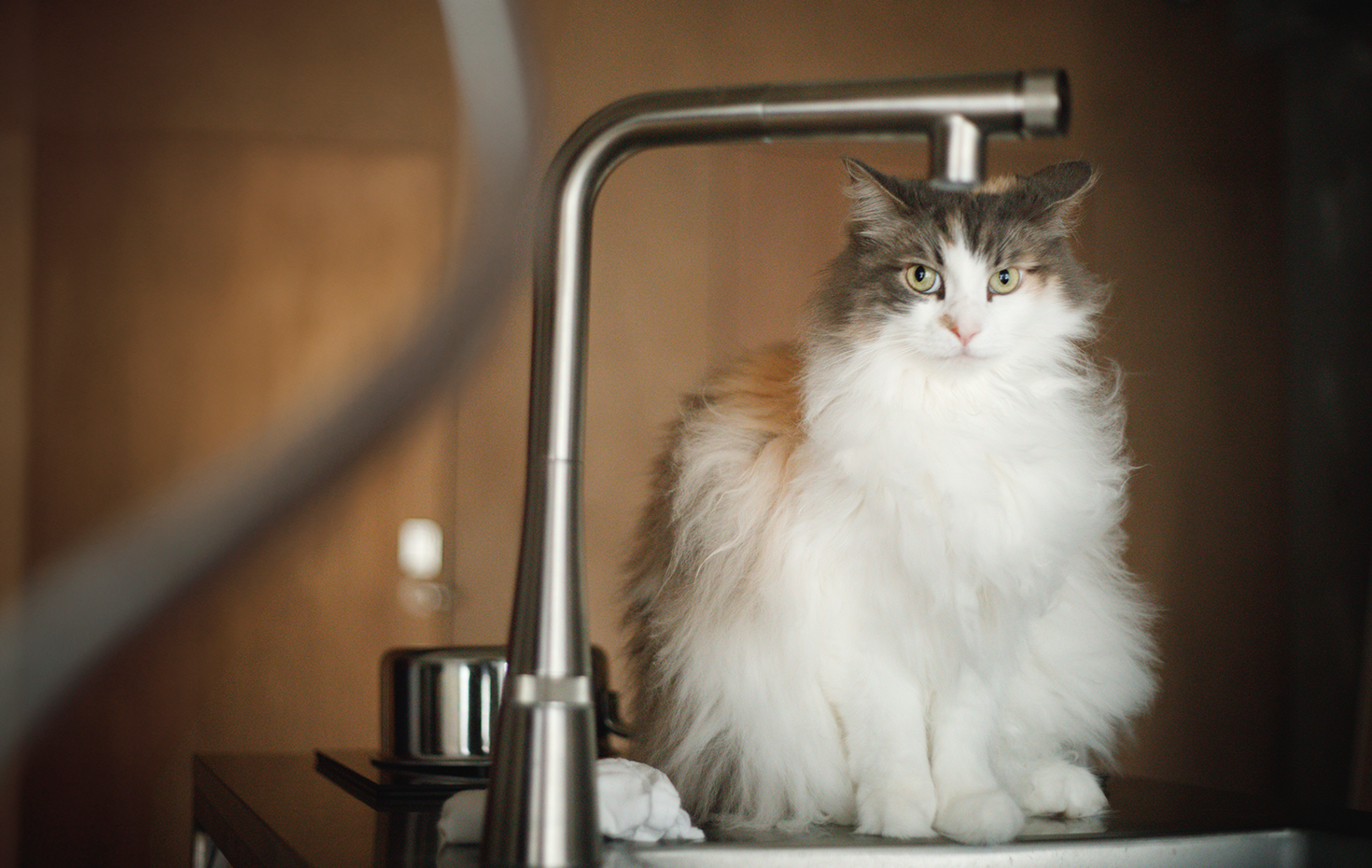 キッチンの水栓