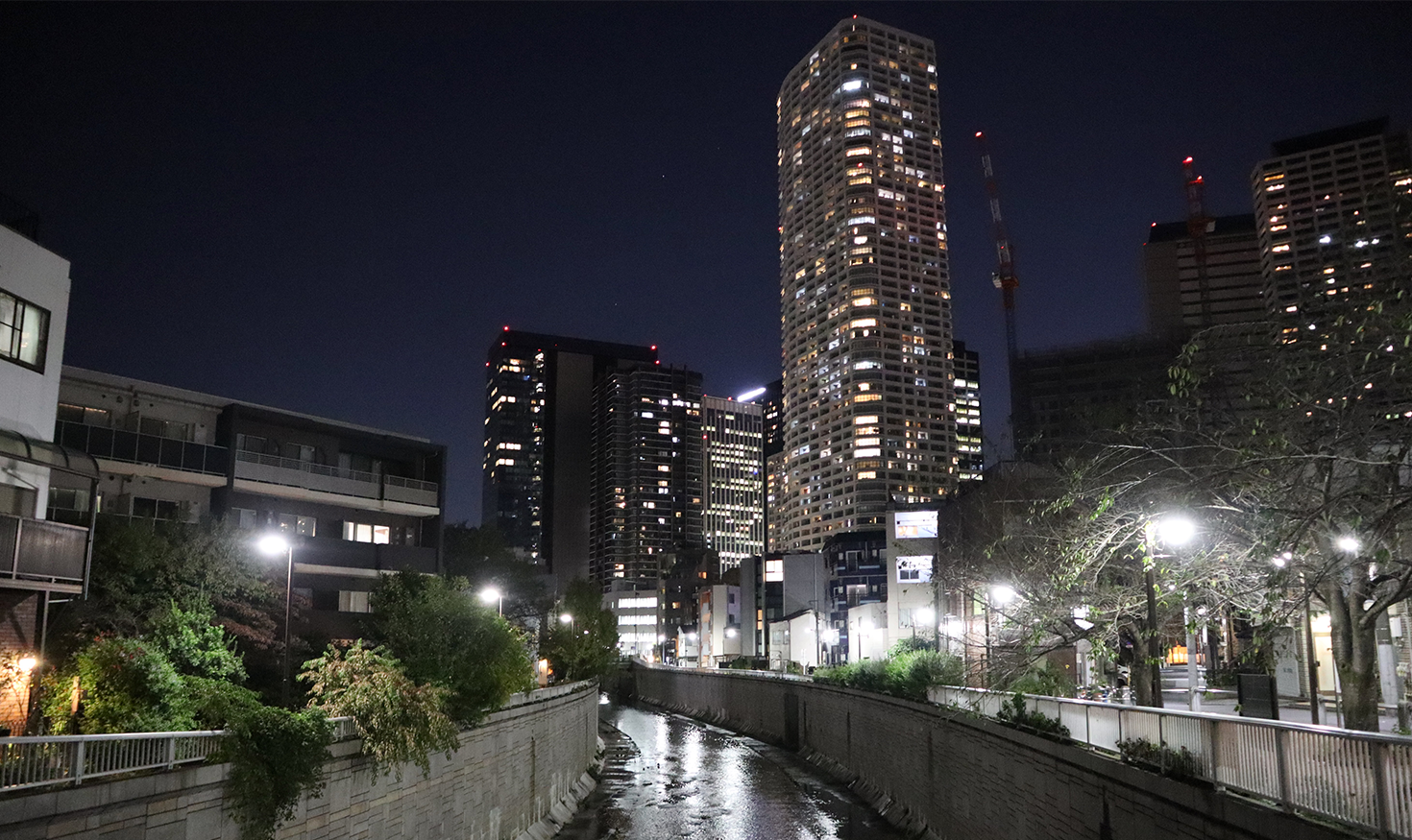 東京・中野周辺の、夜の風景。高層マンションから低層の住宅まで、多様な建物が連なる