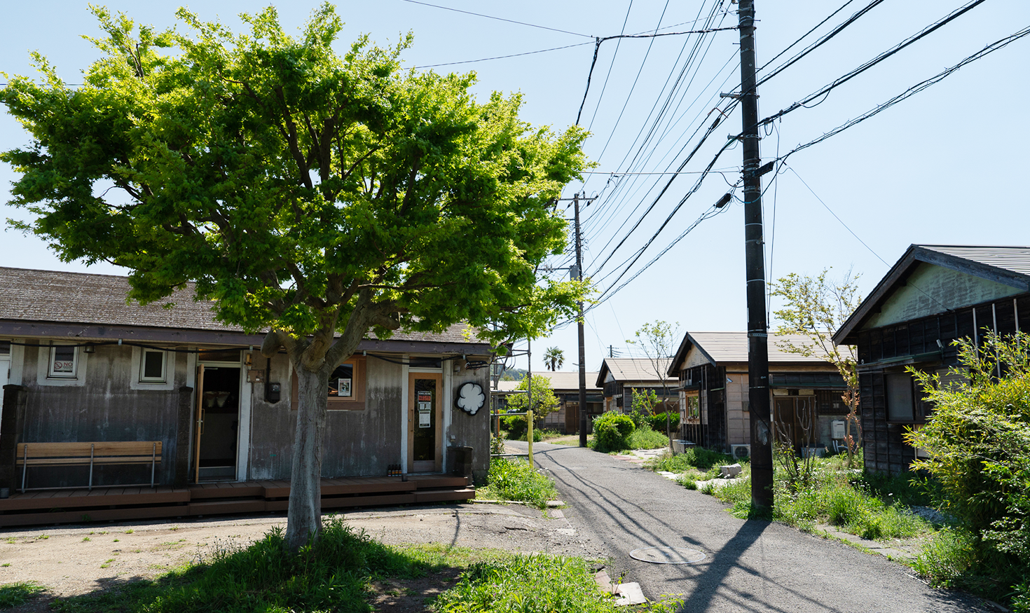 木造やコンクリート造の長屋が、昭和の「平屋団地」の面影を残す