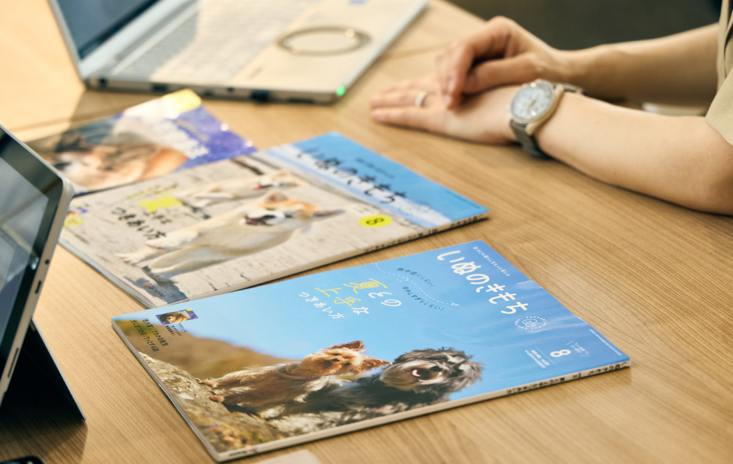 ヒトと愛犬との生活総合誌「いぬのきもち」