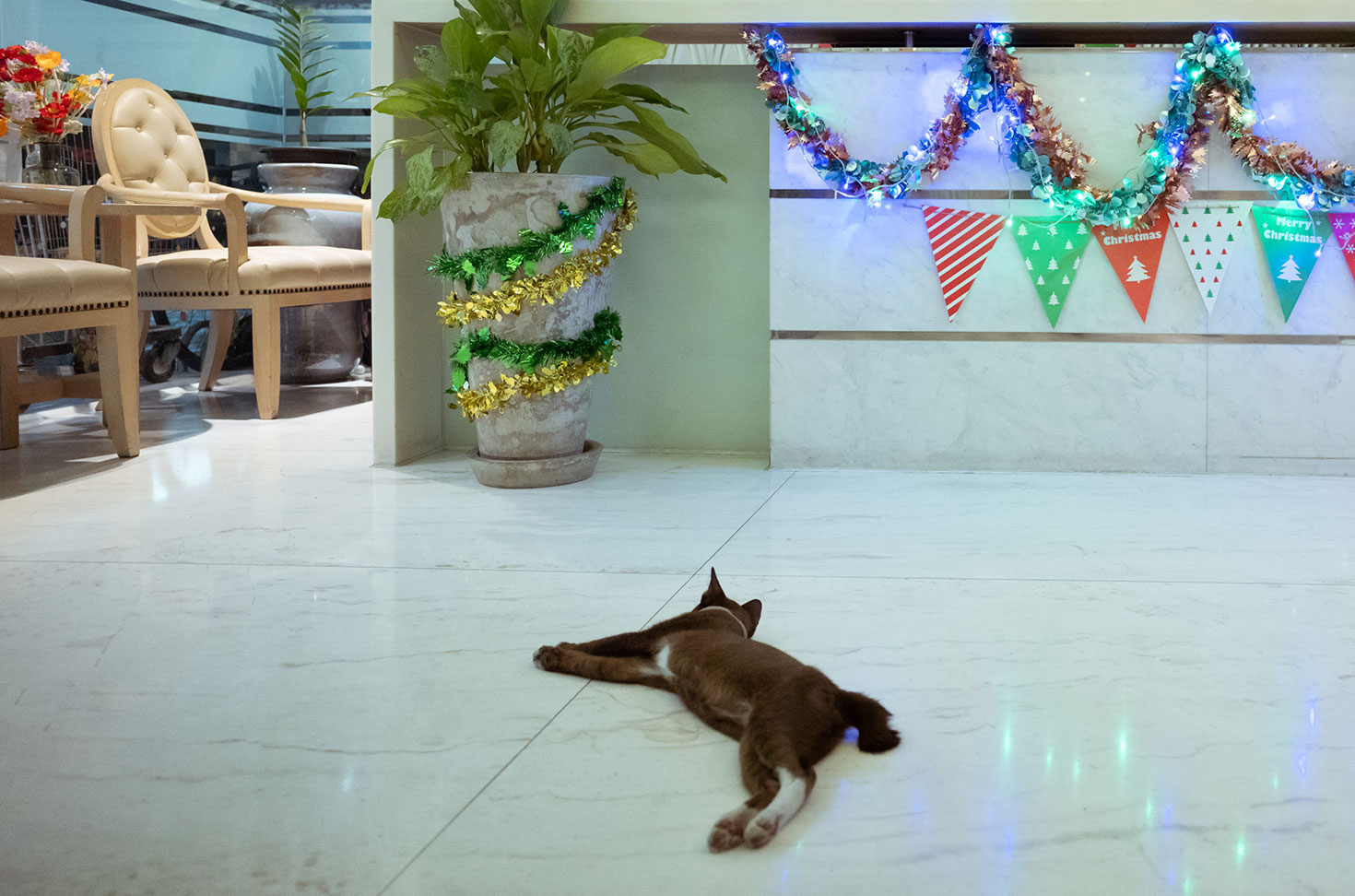 リーさん宅のロビー