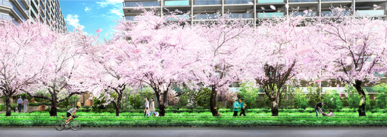約300mにわたる敷地内遊歩道「サクラプロムナード」完成予想図