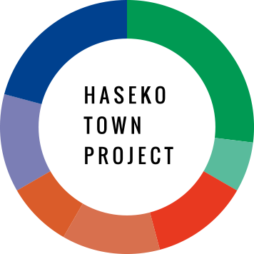 HASEKO TOWN PROJECT