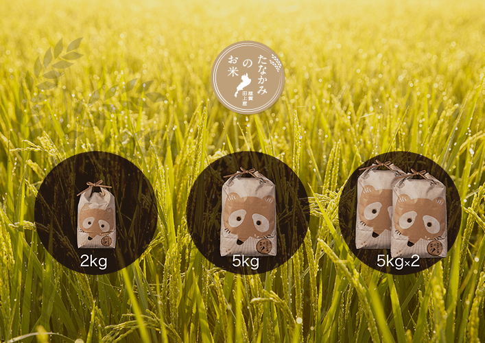 ご家庭用|たなかみ米商品ラインナップ